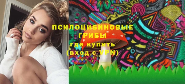 гидра Лагань