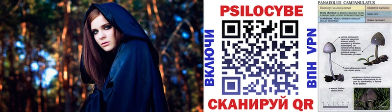 Галлюциногенные грибы MAGIC MUSHROOMS  Купить закладки  Краснослободск 